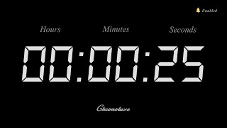 25-Second Timer | Clean and Sleek Countdown