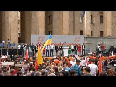 #ახალისაქართველო - ყრილობა, სერგო ჩიხლაძე