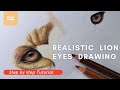 Tutorial on Realistic Lion eyes using Coloured pencil | Lion eye drawing step by step - Art by Suman