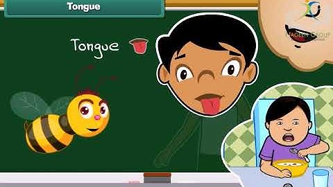 Class 2 || Chapter Human Body || CBSE