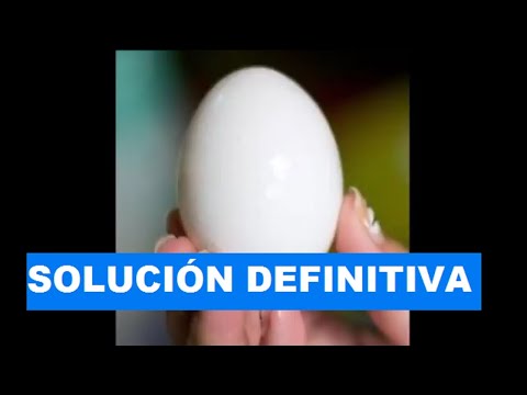 Video: Cómo Hervir Un Huevo Para Pelarlo Fácilmente