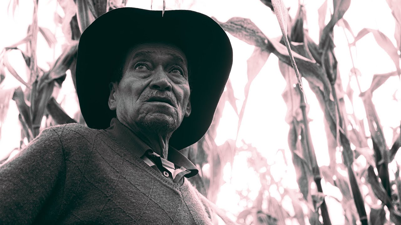 Un Legado Vivo I Documental