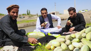 Kabul-Badakhshan, Kunduz AFG, کابل تا بدخشان، گزارش ضیا، پالیز خربوزه - بخش سوم