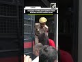 Two Accused Arrested By NIA In Pahalgam Terror Attack Case Presented Before Jammu Court Two Accused Arrested By NIA In Pahalgam Terror Attack Case Presented Before Jammu Court