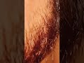 HairWhisperASMR#ASMR #HairASMR#ASMRShorts #Shorts#Relax#Sleep#Calm #Tingles#Relaxing#Satisfying