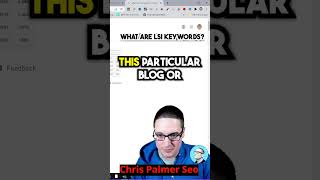 what are lsi keywords
