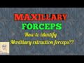 Dental Forceps | Maxillary forceps, identification and use