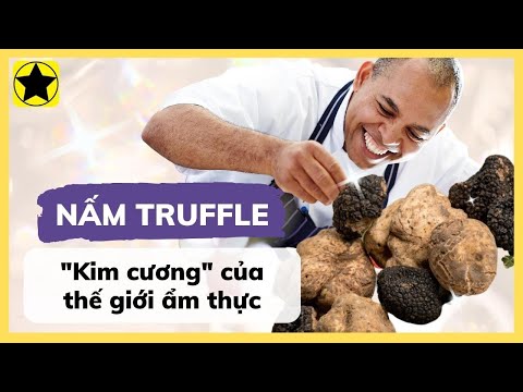 Video: Lễ hội Truffle trắng mùa thu ở Ý