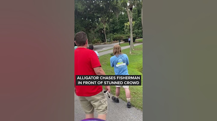 Alligator chases fisherman in front of stunned crowd