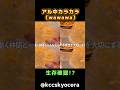 【朗報】アル中カラカラ(wawawa)生存が確認される? #アル中カラカラ #wawawa #京セラ #shorts