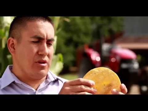 Mi Rancho Corn Tortilla Joy | Gumas Advertising