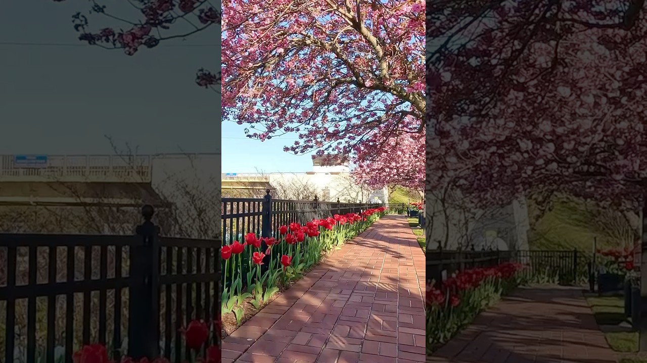 Lewes, DE FULL WALK ON MY CHANNEL 