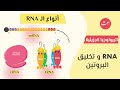 أنواع RNA البيولوجيا الجزيئية أحياء الصف الثالث الثانوي نظام جديد
