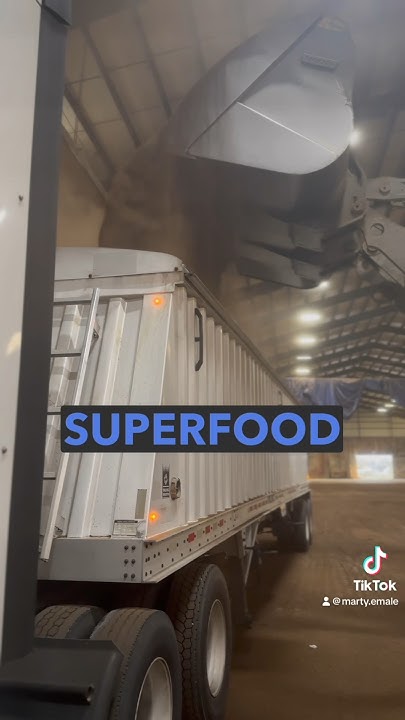 everybody-eats-when-we-get-ddg-trending-otrlife-cattle-feed-food