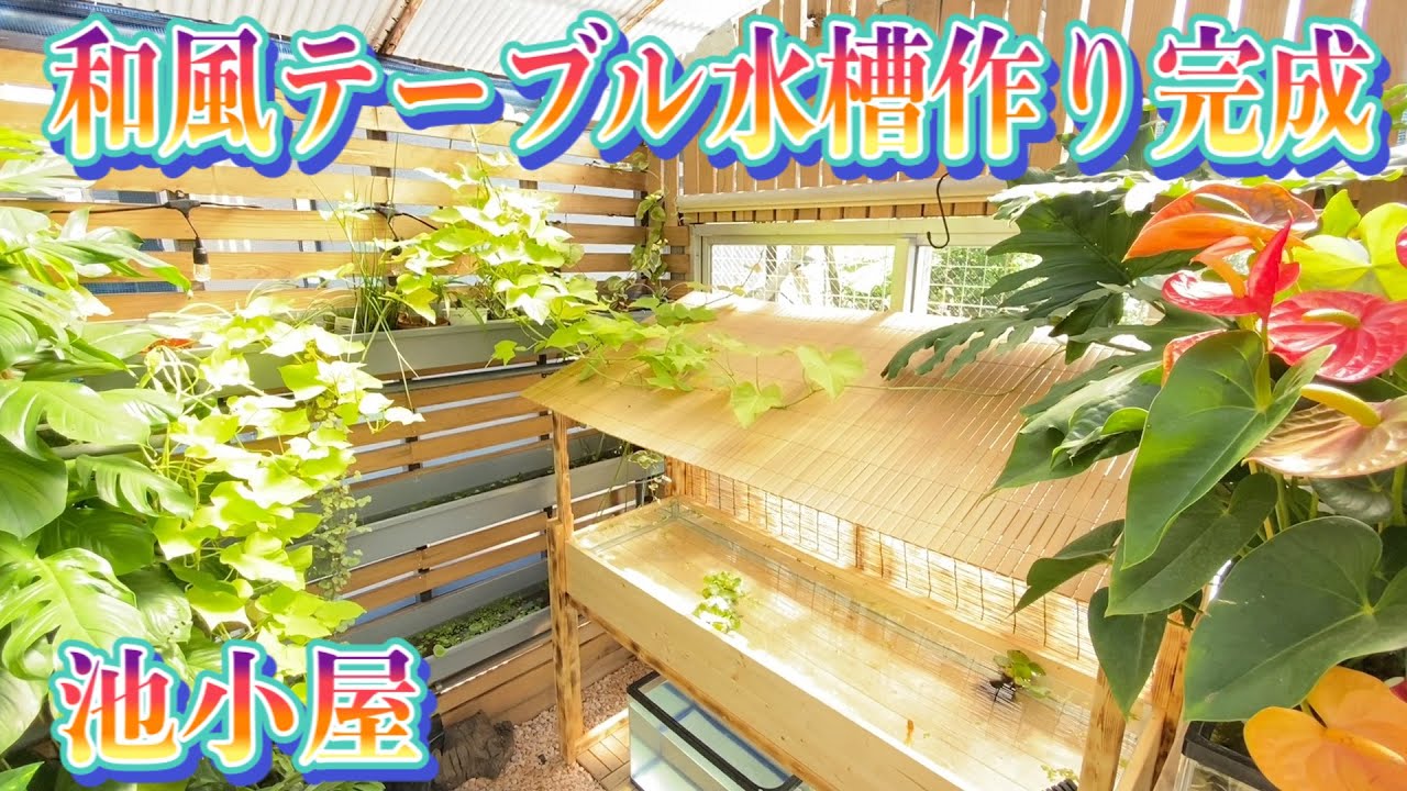 【和風テーブル水槽作り完結】②金魚・ビオトープ・手作り水槽 YouTube
