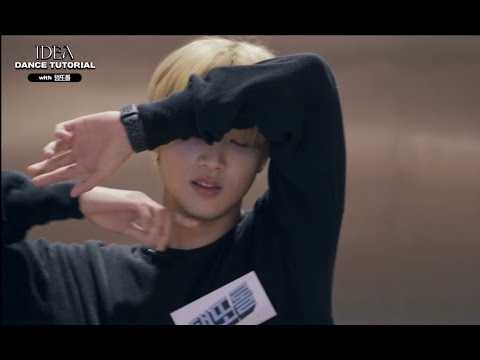 [NCT 해찬] 엔시티 대표 탬또롤 동혁이가 추는 "IDEA"모음