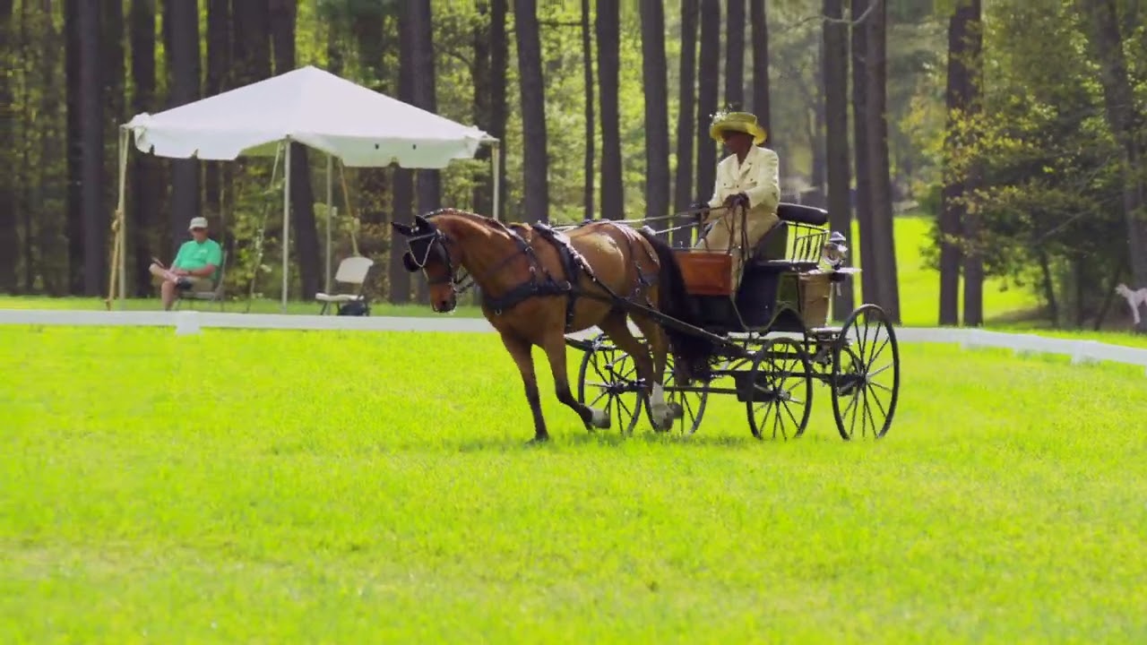 Southern Pines Combined Driving Event