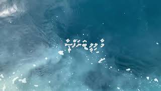 Digital Flock - Maa Lily ft. Iqyan Rafeeu (A Capella Version) [Lyric Video]
