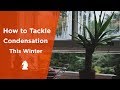 7 Tips to Tackle Condensation This Winter