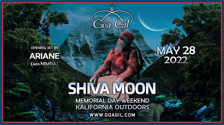 Goa Gil - Digital Darshan V8