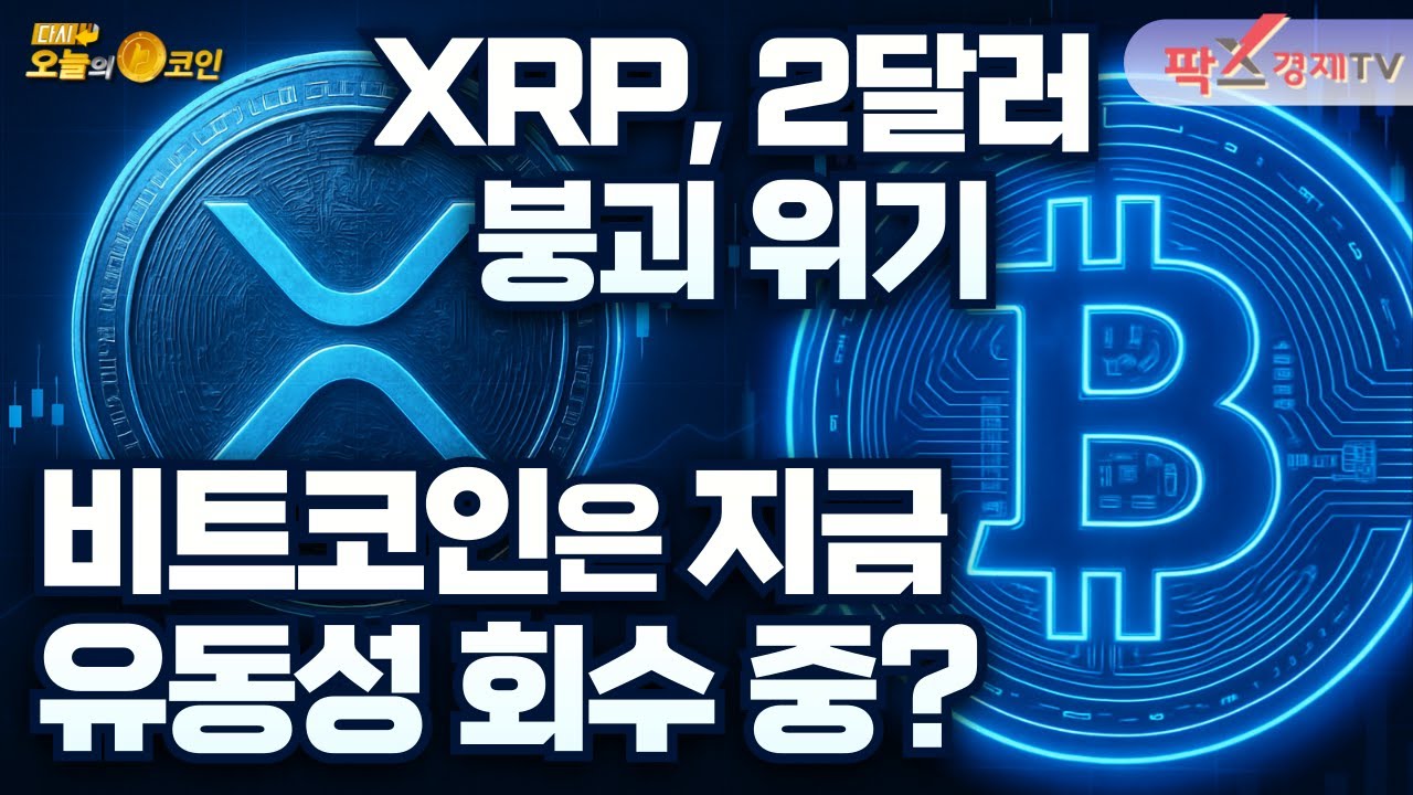 다시 오늘의 코인 - 팍스경제TV