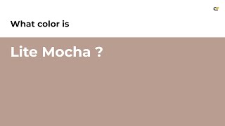 Lite Mocha color #b99d91 hex color - Brown color - Cool color b99d91