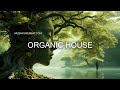 Best new organic house april 2024