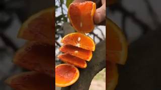 STOP Making These Common Fruits Cutting Mistakes #shorts
