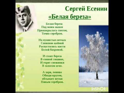 Учим наизусть стих Сергея Есенина "Белая берёза ".