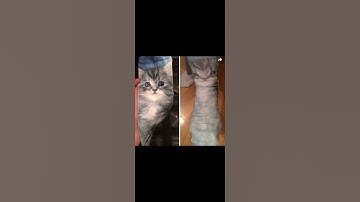 Design fails🤔 Part 3 #memes