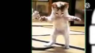 Cn Turkey - Generic Video Box Bumper 2015