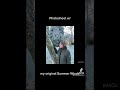 Elaine Yu - Summer Winds