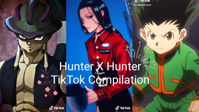 hunter x hunter nova temporada｜Pesquisa do TikTok