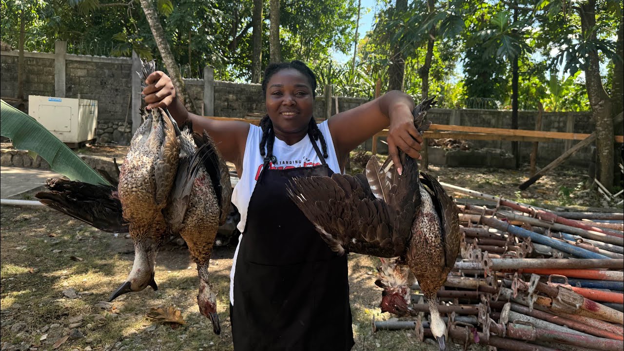 SE 1ER FWA MWEN KWIT VIANDE KI FEN KONSA