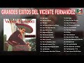 VICENTE FERNANDEZ EXITOS LAS MEJORES CANCIONES - 30 GRANDES EXITOS ENGANCHADOS DE VICENTE FERNAN