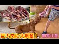 【巨大肉祭り】過去一ヤバすぎる肉が送られました!!冷凍庫が悲鳴上げてますw