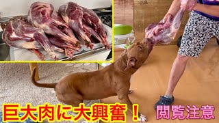 【巨大肉祭り】過去一ヤバすぎる肉が送られました!!冷凍庫が悲鳴上げてますw