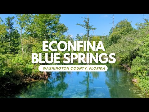 Econfina Blue Springs (Northwest Florida)  #florida #outdoors #travel