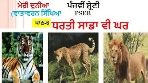Class-5 EVS Lesson-6 ਧਰਤੀ ਸਾਡਾ ਵੀ ਘਰ ( Dharti Sada Vi Ghar ) PSEB
