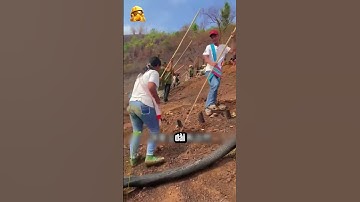 Cách Người Vùng Cao Biến Đồi Trọc Thành Ruộng Lúa!