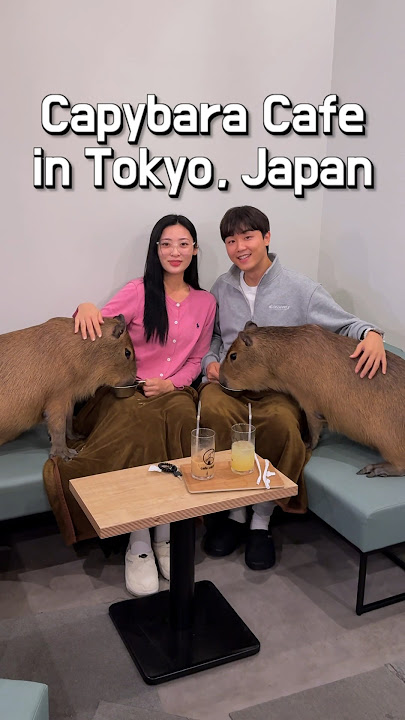 I Went to A Capybara Cafe in Tokyo, Japan🐭