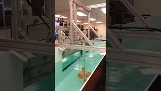 Electromechanical system (Orbital Motion)
