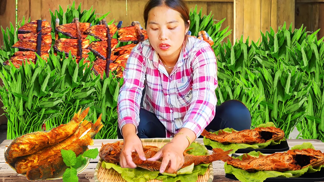 Cosecha de espinacas de agua dulce para vender & Asa pescado gigante con una madre soltera