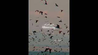 Bika Moulhimi, Maher Zain, English and Arabic Lyrics    #reels #love #viral #edit #jumma #subscribe