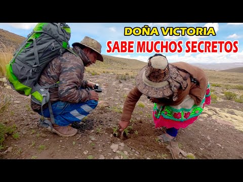la mujer que vive sola SABE MUCHOS SECRETOS en los andes peruanos
