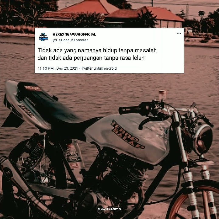 STORY WA HEREX TERBARU||STORY WA KEKINIAN 2021||LITERASI HEREX 30 DETIK