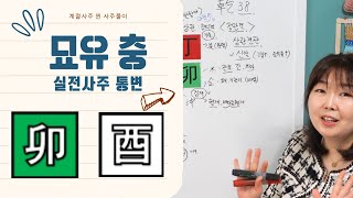 [계절사주-찐 사주풀이]사주에 묘유충이 있으면? 실전통변