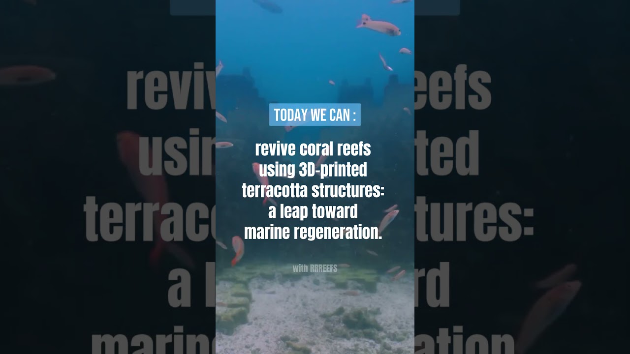 Restoring life below water - Ocean Opportunity Series