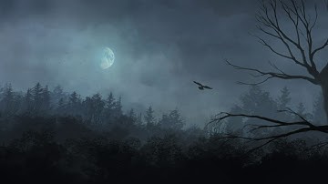 DARK FOREST ANIMATION