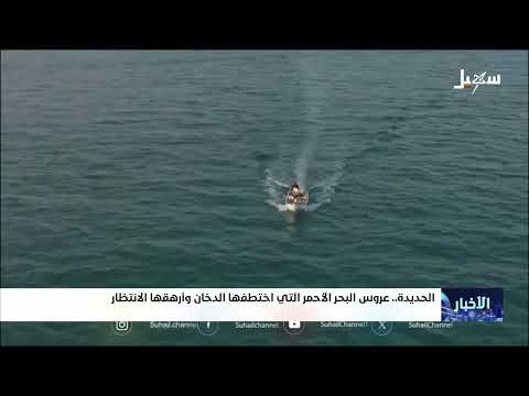 الحديدة: تدهور الأوضاع البيئية والإنسانية يثير القلق